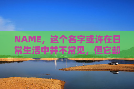 NAME，这个名字或许在日常生活中并不常见，但它却在某些领域里扮演着重要的角色。今天，让我们一起来探索这个名字背后的故事和意义